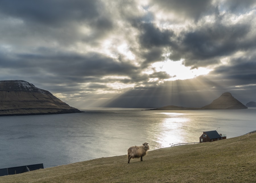 Faroe Islands epic travel