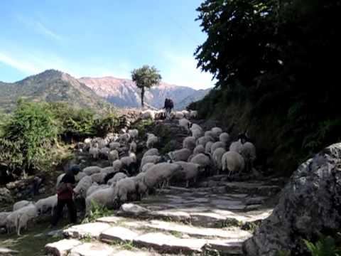 Annapurna circuit trek to Shikha