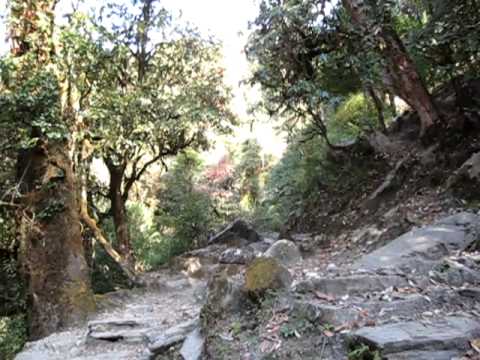 Leaving Ghorepani  - Annapurna Circuit