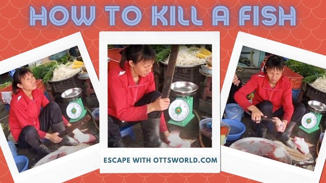 How to kill a fish