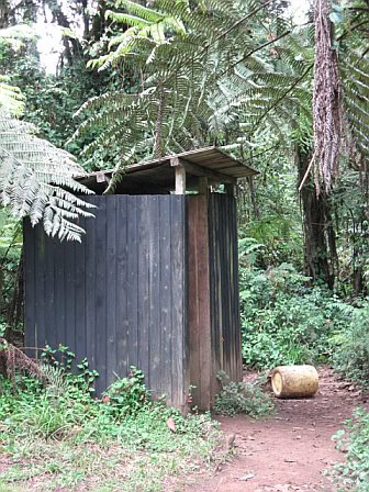 A small wooden shelter in a lush forest setting near Kilimanjaro, surrounded by dense greenery and tall trees, with a dirt path leading to it.