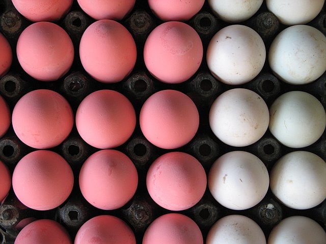 Close-up of pink and white eggs arranged in a grid pattern on a black egg tray, showcasing vibrant colors and smooth textures.