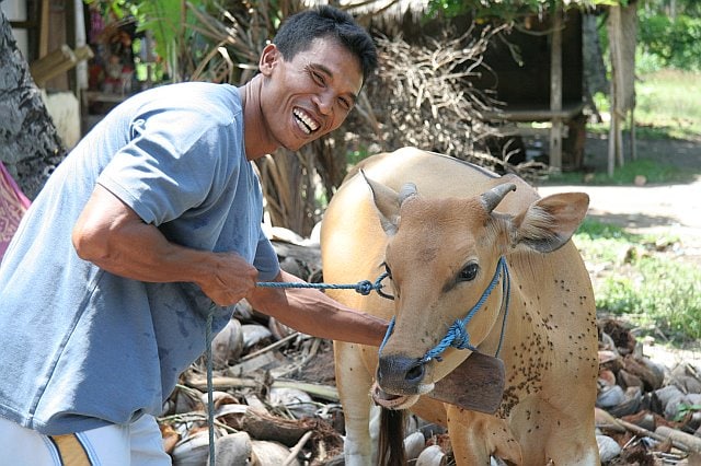 Smiling man holding a cow on a leash in a rural Lombok setting, with trees and traditional structures in the background.