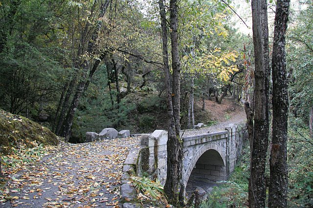 Scenic forest trail with a stone bridge, surrounded by trees and fallen leaves, in a peaceful natural setting.