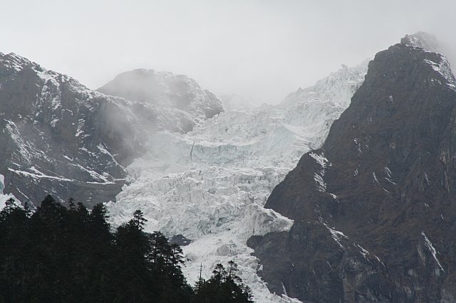 Snow-capped mountain peaks and glaciers under a cloudy sky, with dark forested slopes in the foreground.