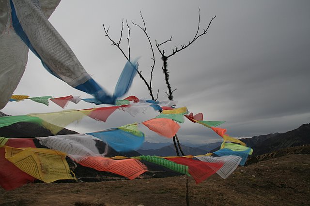 Colorful prayer flags fluttering in the wind against a cloudy sky and barren landscape.