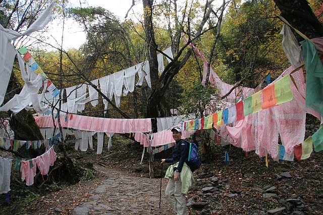Hiker walking through a trail decorated with colorful prayer flags and cloths in a forested area.