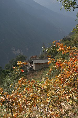 Scenic view of a mountain village at Tiger Leaping Gorge with autumn foliage and misty mountains in the background.