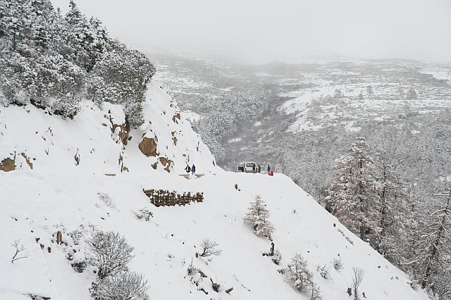 Snow-covered hillside with trees and a distant view of a valley in winter landscape.