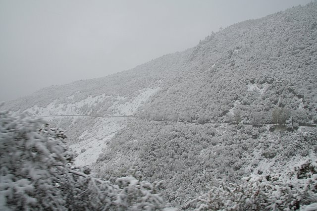 Snow-covered mountain landscape with dense forest and cloudy sky, showcasing winter's icy beauty.