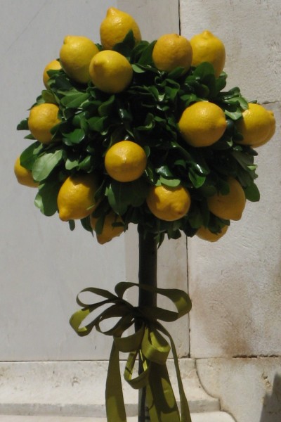 Sorrento is famous for their lemons
