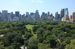 NYC Skyline over Central Park...Goodbye..