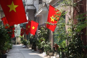 Vietnamese flags
