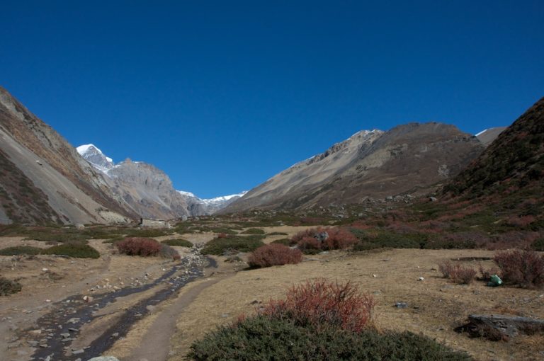 A Mouse in My House – Annapurna Circuit