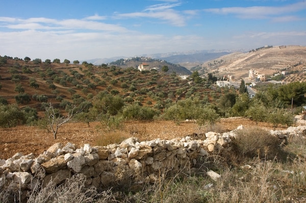 Hills of Jordan