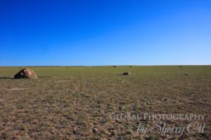 Gobi Desert flat