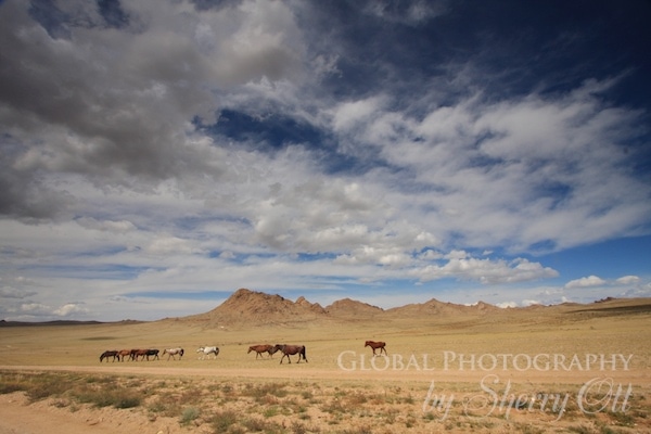mongolia landscapes