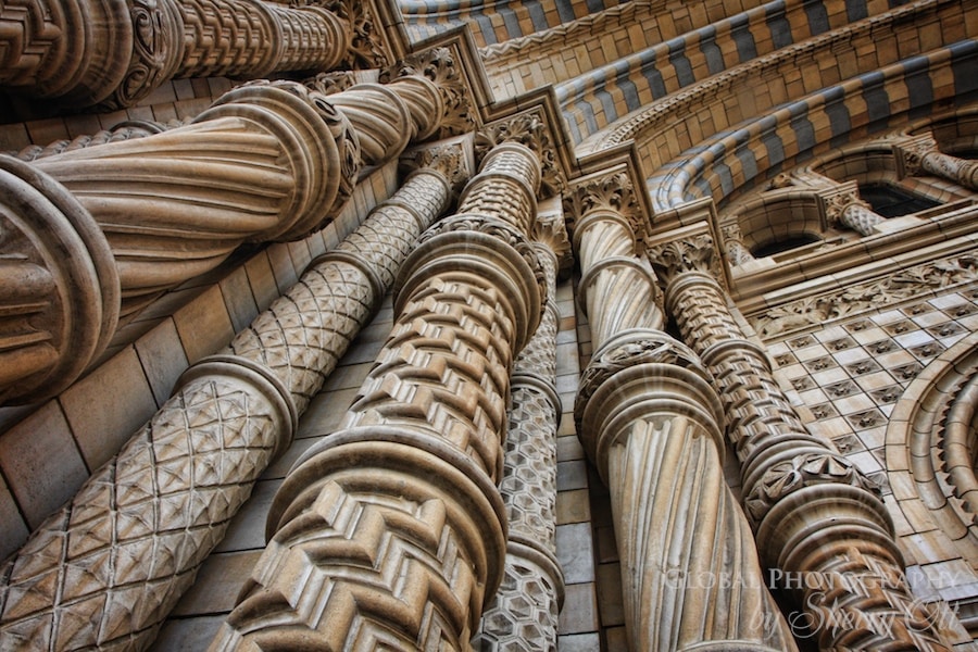 columns natural history museum london