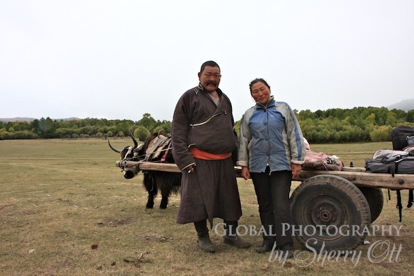 Mongolian family and ox cart
