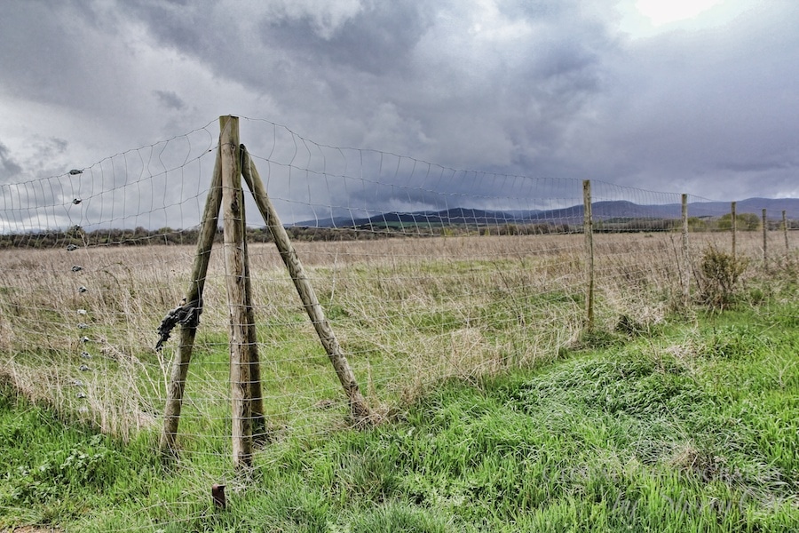storm fence