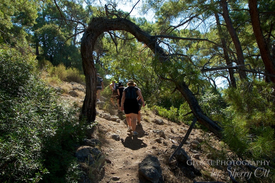 Walking through a bended tree on the lycian way