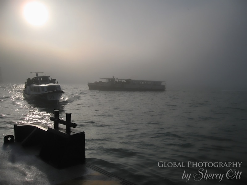 Venice Fog Photos