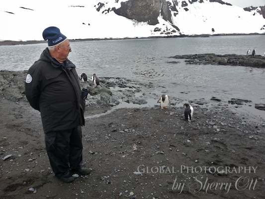 Dad checking out the penguins