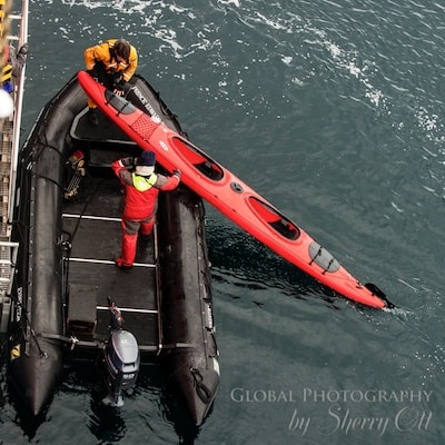 Loading a kayak in the water - things to do in antarctica