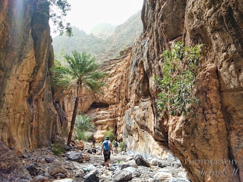 Trek Oman Bilad Sayt