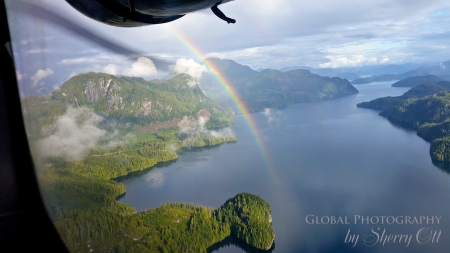 rainbow plane window great bear rainforest