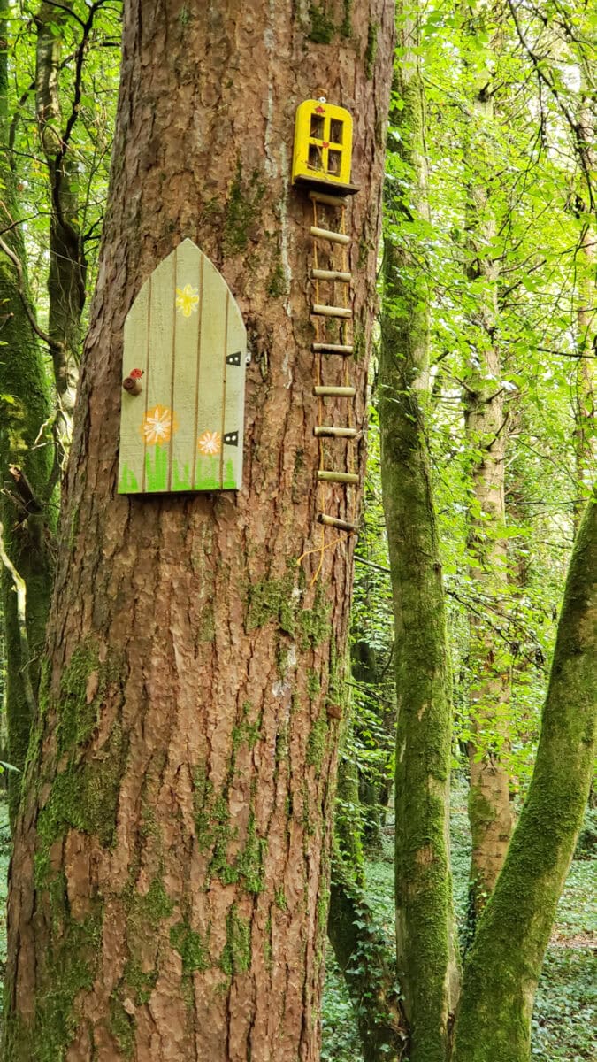 Ireland landscapes and trees