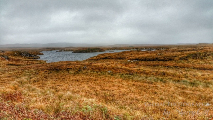 Ireland landscape bogs
