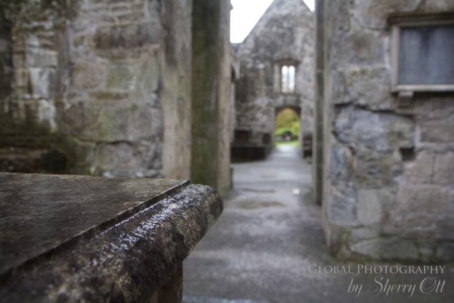 rainy day things to do driving the wild atlantic way muckross abbey