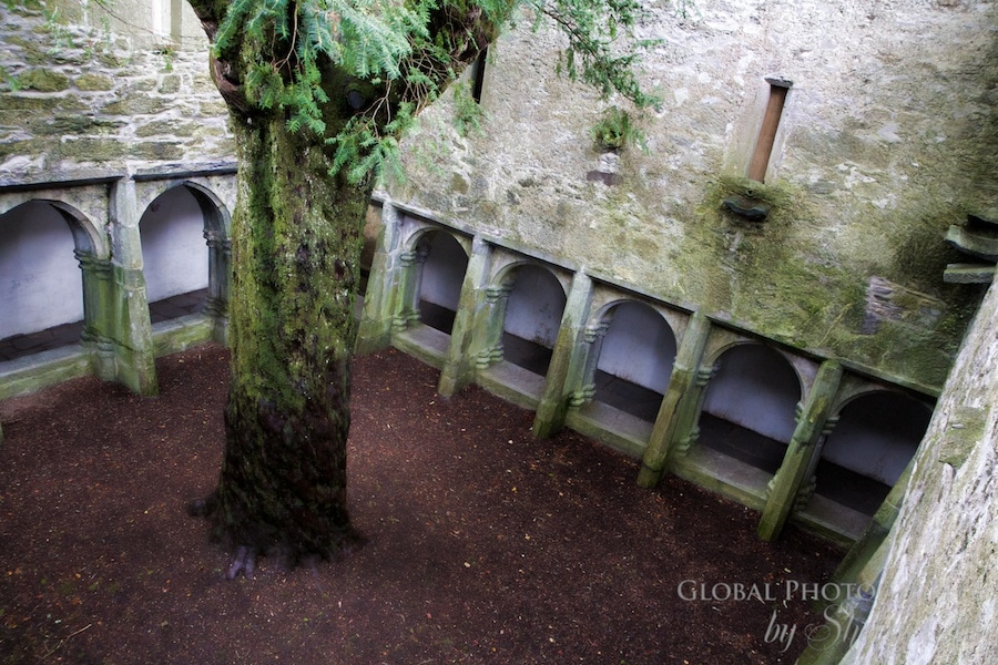 a rainy day at muckross abbey in ireland