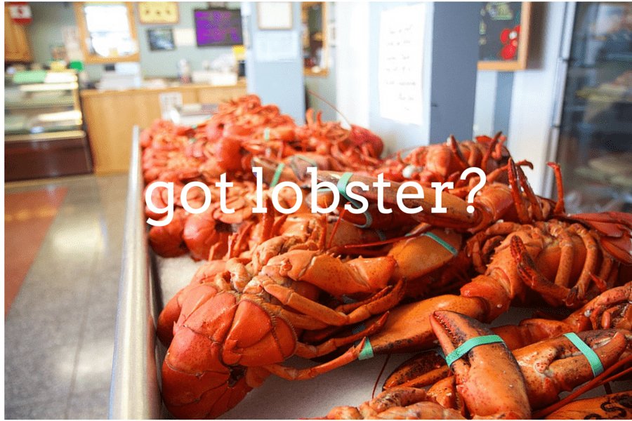 Canadian Lobster Maritime 