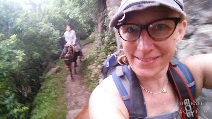 Molokai mule ride selfie