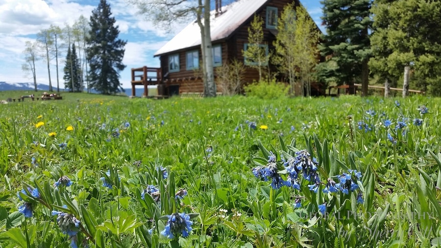 Colorado Mountain Cabins