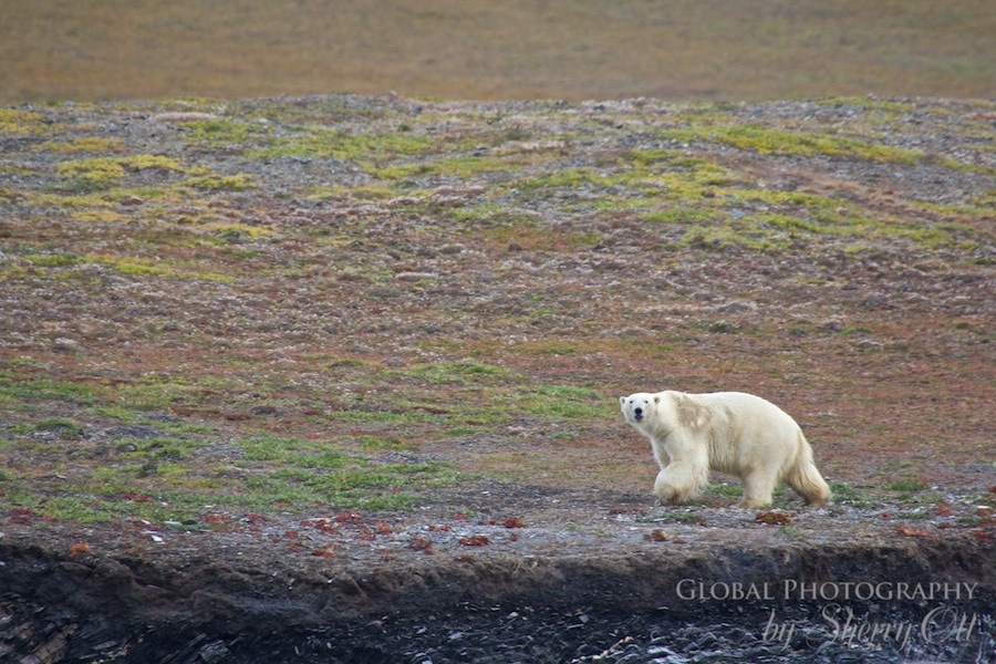 Best Travel Photography 2015