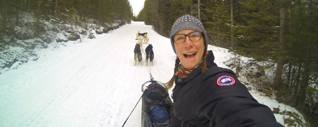 Dog sledding banff