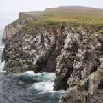 Bird cliffs Kolyuchun Island Russia