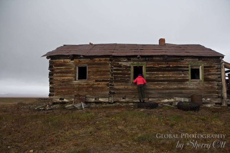 wrangal island buildings