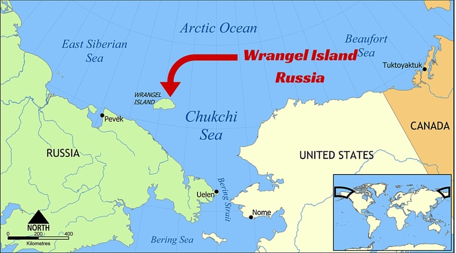 wrangel island map