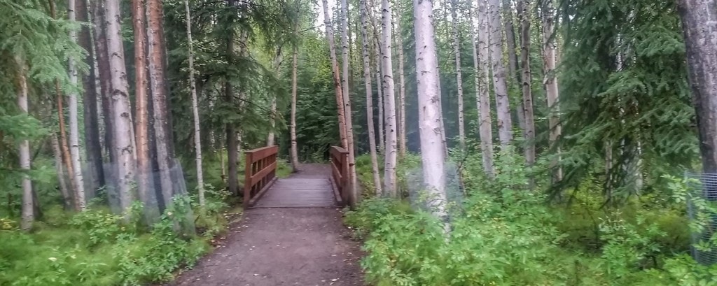 things to do in Fairbanks wedgewood wildlife sanctuary