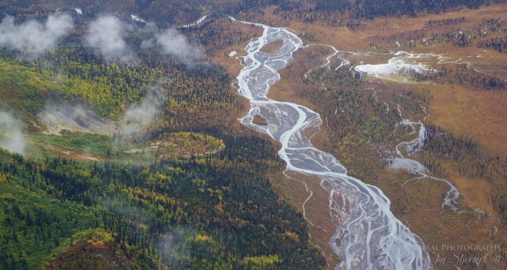 view from alaska bush plane