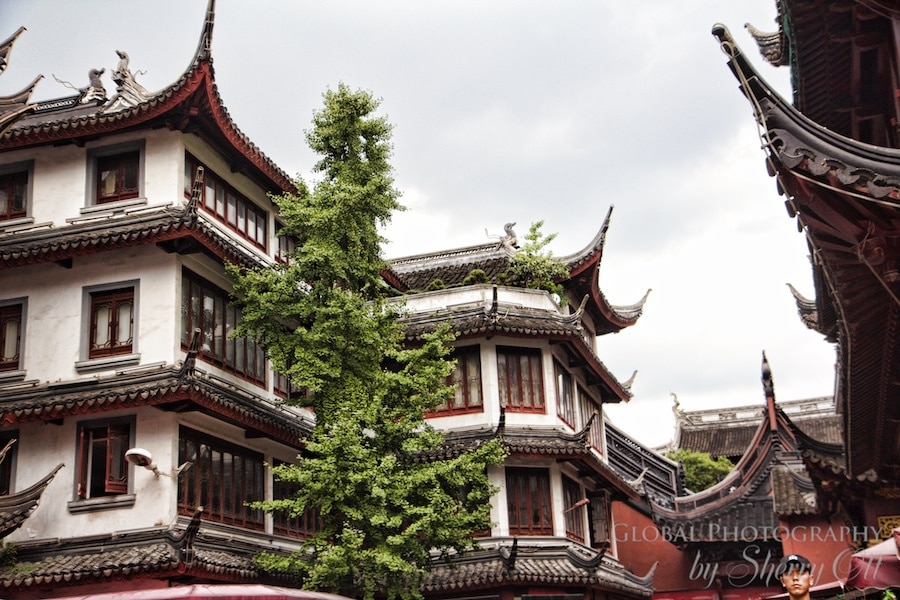 What to expect china Shanghai