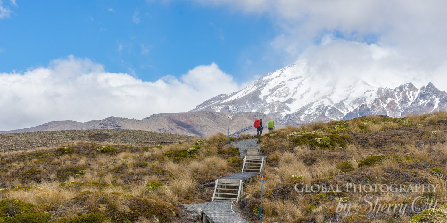 lesser known new zealand hikes
