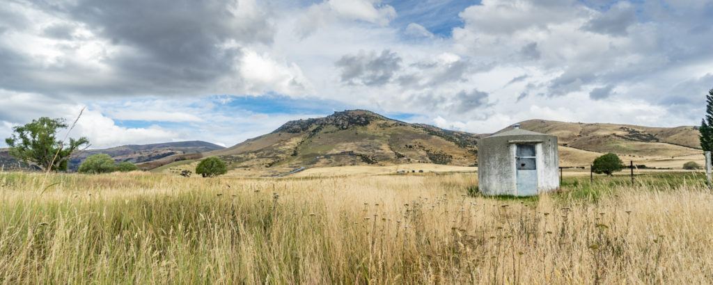 new zealand local experiences