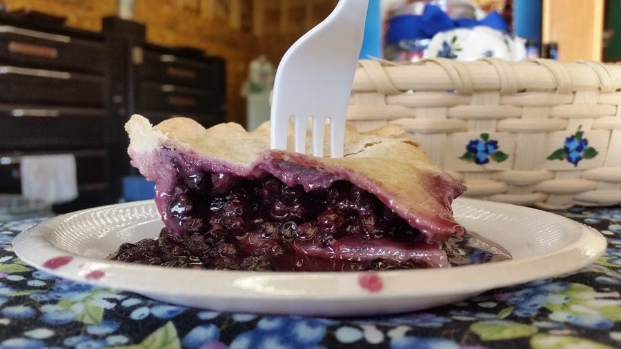Best places to see in Maine Blueberry Festival