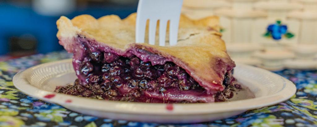 maine blueberry festival