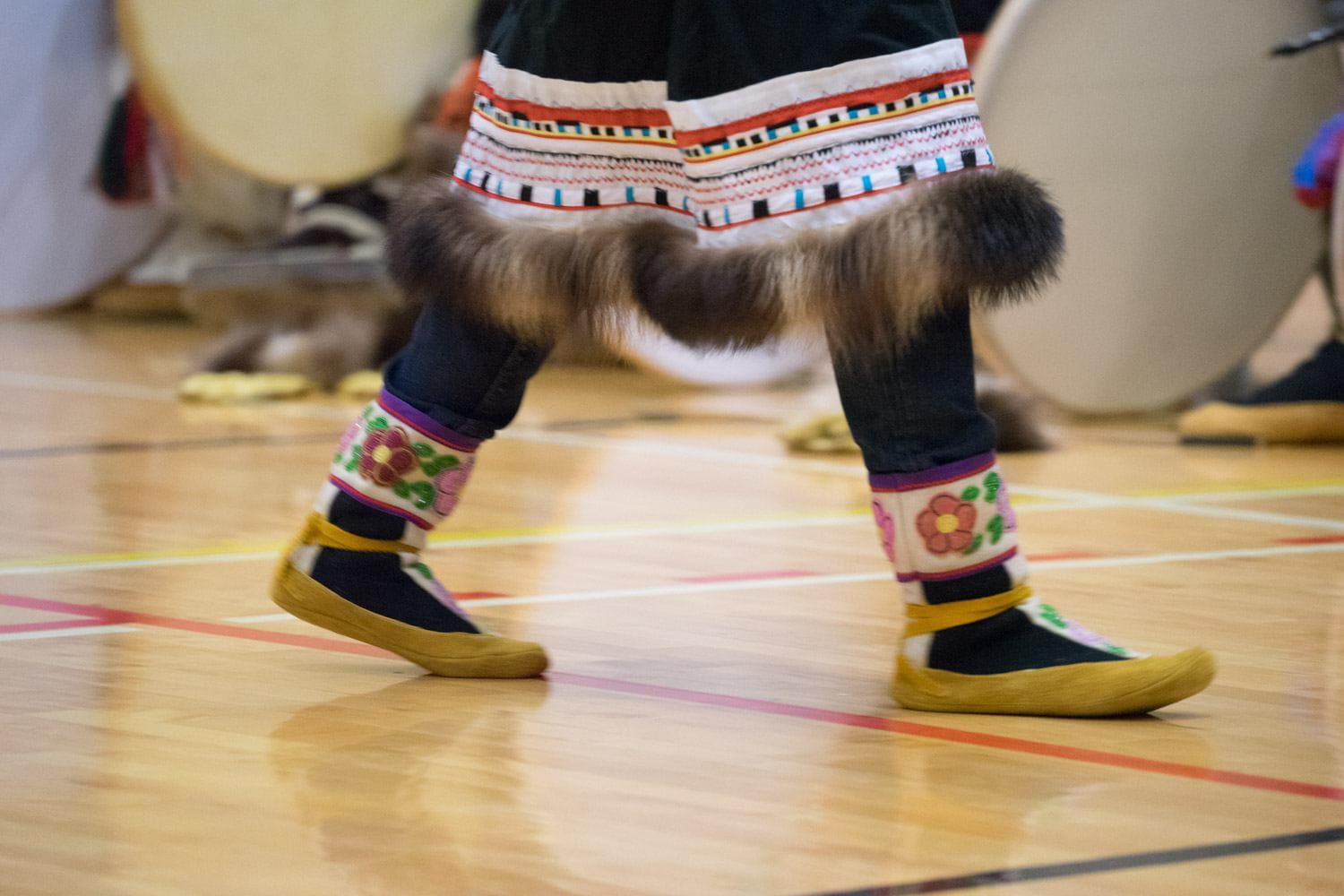 Arctic Tour Muskrat Jamboree